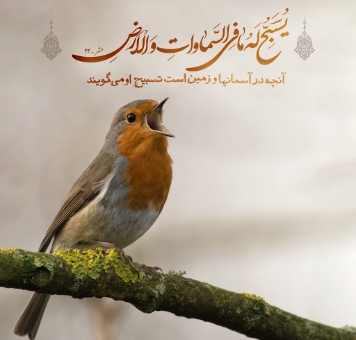 تسبيح موجودات كه در آيات قرآن و روايات مطرح شده به چه معنا است؟ تسبيح موجودات كه در آيات قرآن و روايات مطرح شده به چه معنا است؟