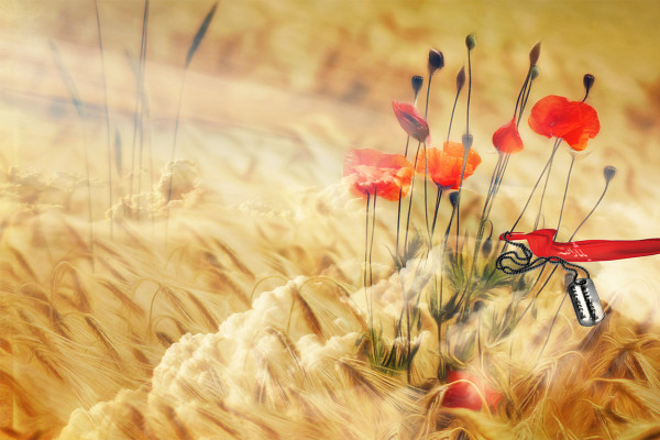 از زرند تا کردستان