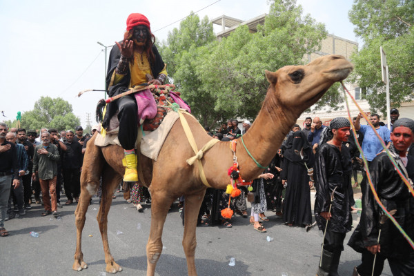 «شیر و کُتل» رسم ۴۰۰ ساله مینابی‌ها در روز عاشورا