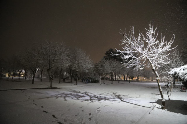 بارش پربرکت باران و برف، ارمغان توکل مؤمنان